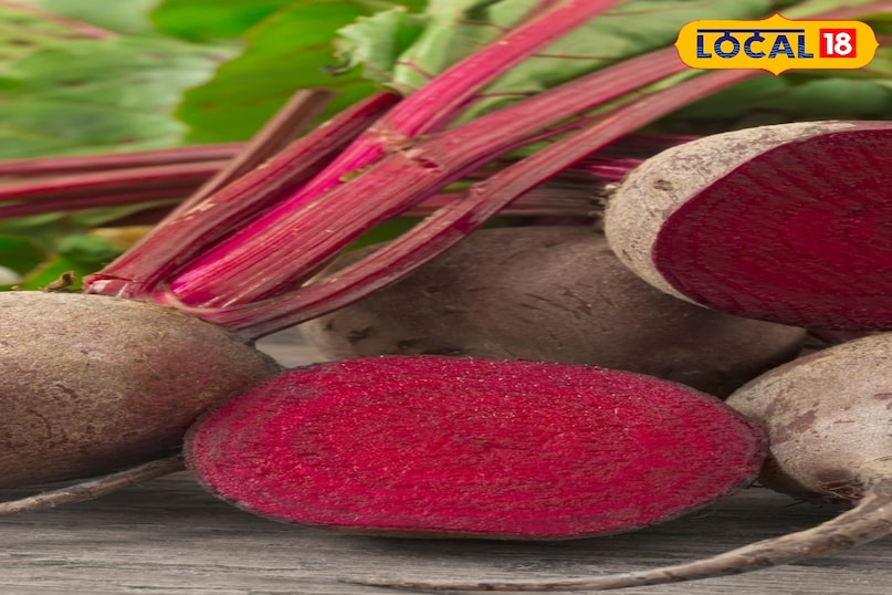 Moradabad news,hindi news,up news,local news, मुरादाबाद समाचार, हिंदी समाचार, यूपी समाचार, लोकल समाचार।