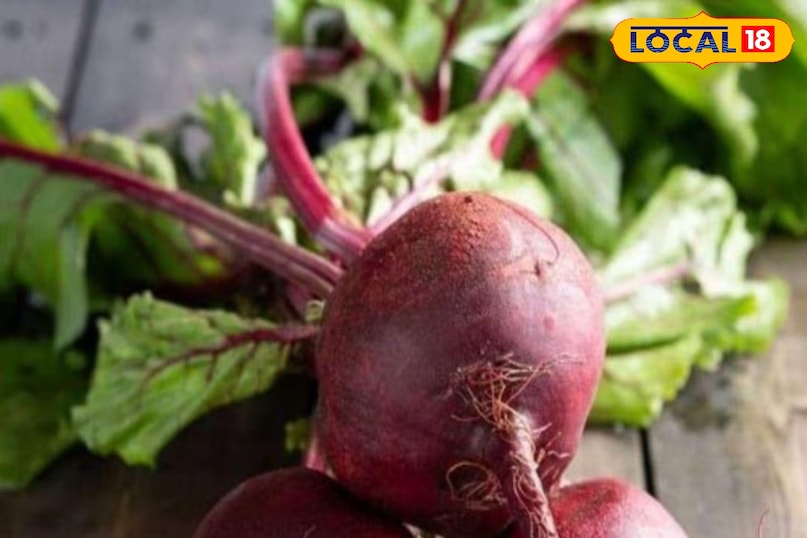 Moradabad news,hindi news,up news,local news, मुरादाबाद समाचार, हिंदी समाचार, यूपी समाचार, लोकल समाचार।