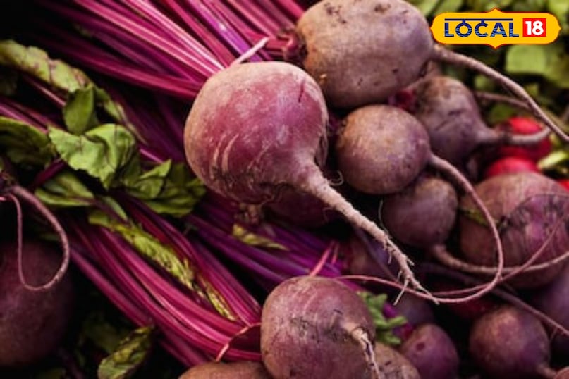 Moradabad news,hindi news,up news,local news, मुरादाबाद समाचार, हिंदी समाचार, यूपी समाचार, लोकल समाचार।