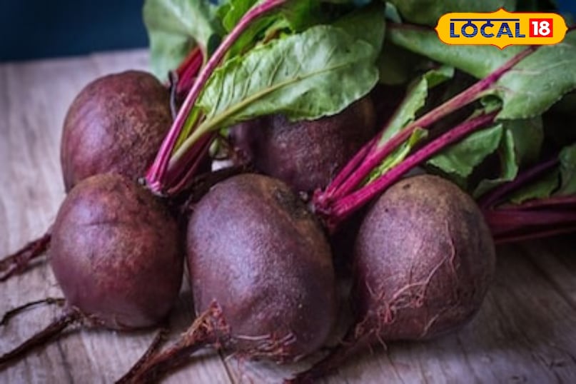 Moradabad news,hindi news,up news,local news, मुरादाबाद समाचार, हिंदी समाचार, यूपी समाचार, लोकल समाचार।