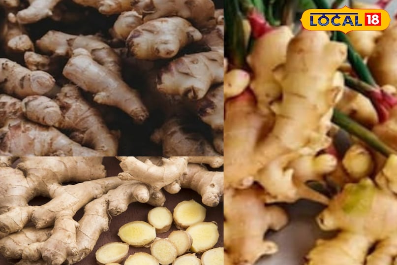 मेरठ, वायु प्रदूषण, मुलेठी, अदरक, तुलसी, हल्दी, स्वास्थ्य, फायदा, फोटो गैलरी,लोकल -18,Meerut, air pollution, liquorice, ginger, basil, turmeric, health, benefits, photo gallery, local -18