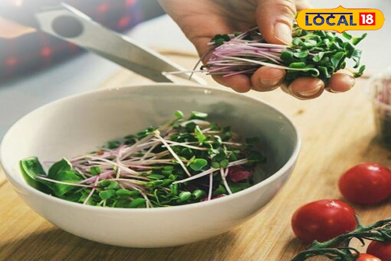 भीगे हुए बीजों का पानी निकाल दें और उन्हें हल्के से कुल्ला कर लें। इन बीजों को तैयार माध्यम की सतह पर समान रूप से और सघनता से बिखेर दें। बीज एक-दूसरे को छू सकते हैं लेकिन एक-दूसरे के ऊपर जमा हुए नहीं होने चाहिए। बीज बोने के बाद, हल्के हाथ से एक चपटी चम्मच या प्रेशर कुकर की सीटी से बीजों को हल्का सा दबाएँ। इससे बीजों को मिट्टी से संपर्क बनाने में मदद मिलती है। भीगे हुए बीजों का पानी निकाल दें और उन्हें हल्के से कुल्ला कर लें। इन बीजों को तैयार माध्यम की सतह पर समान रूप से और सघनता से बिखेर दें। बीज एक-दूसरे को छू सकते हैं लेकिन एक-दूसरे के ऊपर जमा हुए नहीं होने चाहिए। बीज बोने के बाद, हल्के हाथ से एक चपटी चम्मच या प्रेशर कुकर की सीटी से बीजों को हल्का सा दबाएँ। इससे बीजों को मिट्टी से संपर्क बनाने में मदद मिलती है।