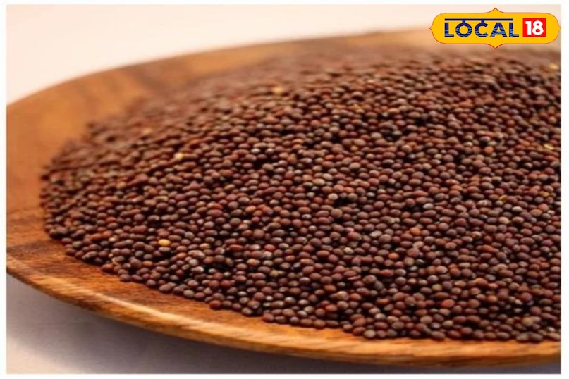 माइक्रोग्रीन्स के लिए विशेष रूप से बेचे जाने वाले बीज ही खरीदें। साधारण बगीचे के बीज उपयुक्त नहीं होते क्योंकि उन पर कीटनाशक हो सकते हैं। कोकोपीट सबसे अच्छा विकल्प है। यह हल्का, स्टेराइल और पानी रोकने वाला होता है। माइक्रोग्रीन्स के लिए विशेष रूप से बेचे जाने वाले बीज ही खरीदें। साधारण बगीचे के बीज उपयुक्त नहीं होते क्योंकि उन पर कीटनाशक हो सकते हैं। कोकोपीट सबसे अच्छा विकल्प है। यह हल्का, स्टेराइल और पानी रोकने वाला होता है।