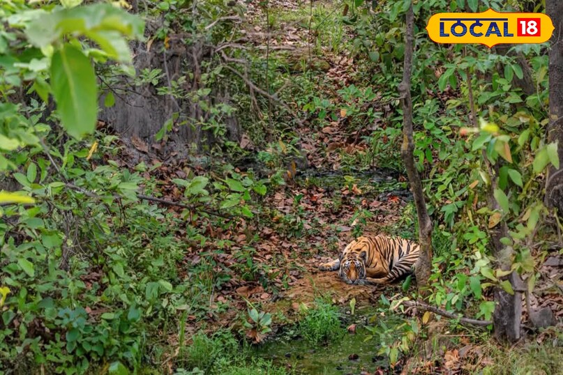 booking process booking process