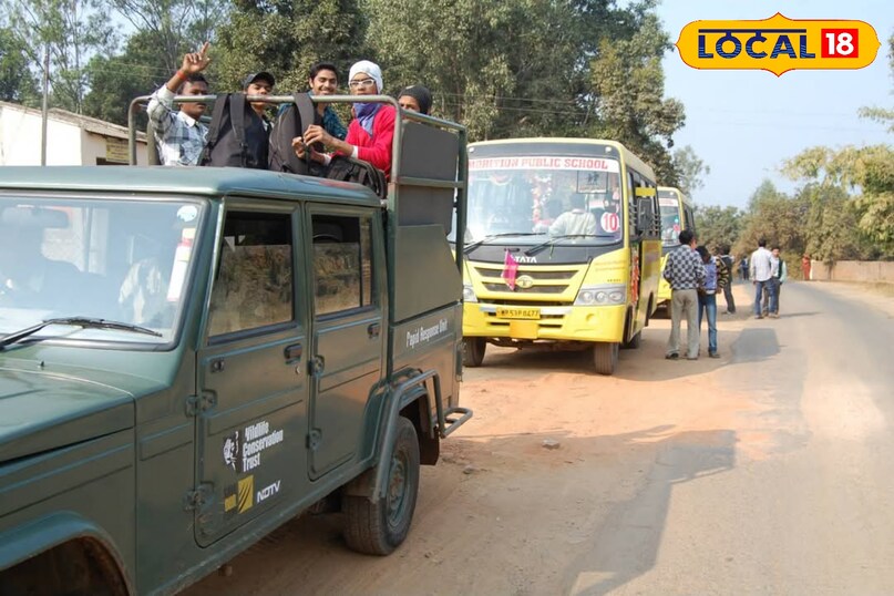 Safari tour cost Safari tour cost