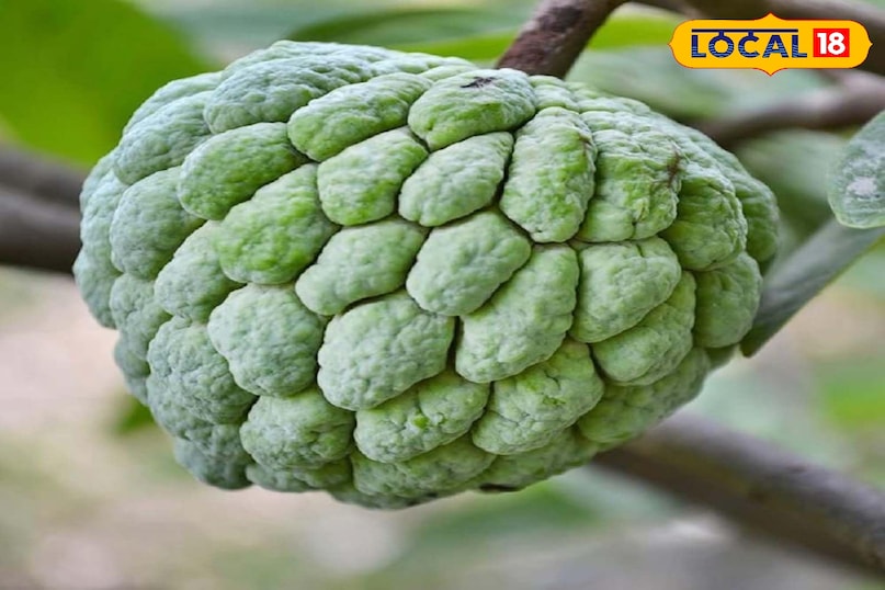 Tips and Tricks Tips and Tricks