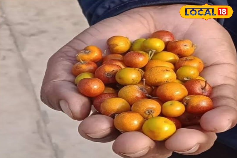 Tips and Tricks Tips and Tricks