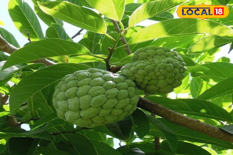 Tips and Tricks Tips and Tricks