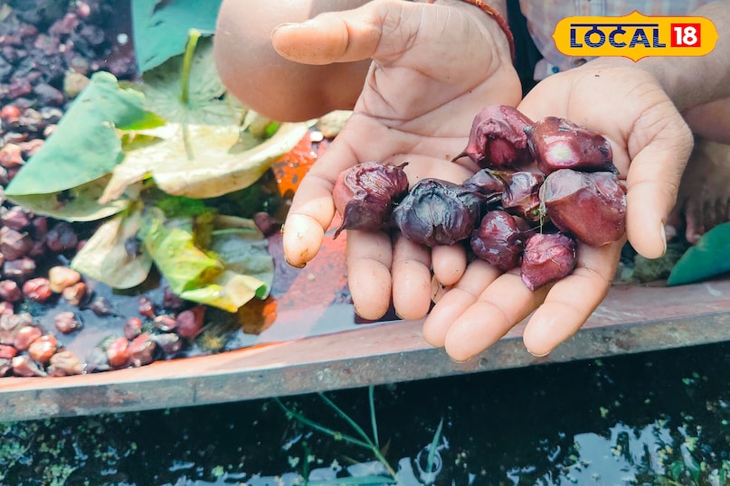 Tips and Tricks Tips and Tricks