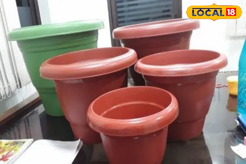 गमला और मिट्टी का रखें खास ख्याल गमला कम से कम 14-18 इंच गहरा हो और उसके तले में जल निकासी के छेद अवश्य हों। खट्टे फलों के पेड़ों की जड़ें गीली मिट्टी बर्दाश्त नहीं कर पातीं। मिट्टी का मिश्रण तैयार करने के लिए बराबर मात्रा में बगीचे की मिट्टी, कम्पोस्ट और मोटी बालू मिलाएं। हर महीने जैविक खाद या नीम की खल्ली डालकर पोषण देते रहें। गमला और मिट्टी का रखें खास ख्याल गमला कम से कम 14-18 इंच गहरा हो और उसके तले में जल निकासी के छेद अवश्य हों। खट्टे फलों के पेड़ों की जड़ें गीली मिट्टी बर्दाश्त नहीं कर पातीं। मिट्टी का मिश्रण तैयार करने के लिए बराबर मात्रा में बगीचे की मिट्टी, कम्पोस्ट और मोटी बालू मिलाएं। हर महीने जैविक खाद या नीम की खल्ली डालकर पोषण देते रहें।