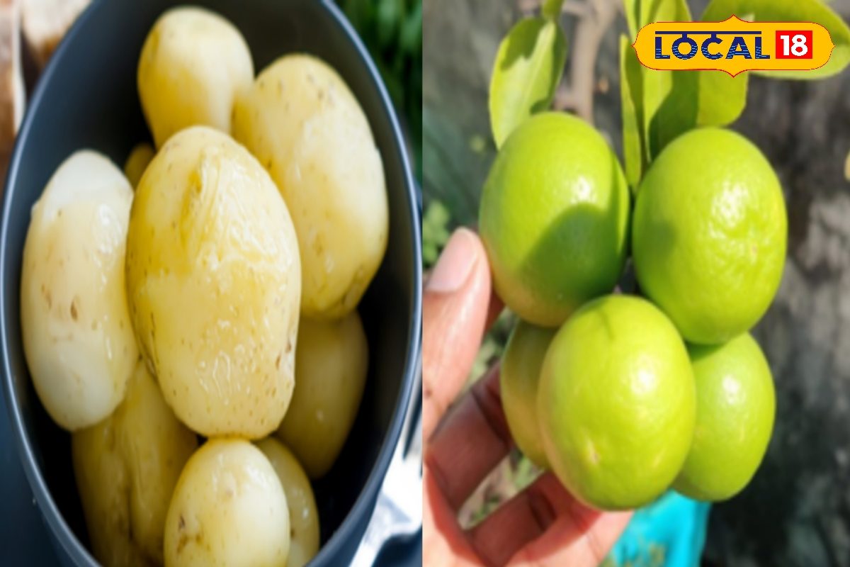 kitchen Tips: आलू और अंडे उबालते समय.. नींबू डालने के हैरान कर देने वाले फायदे