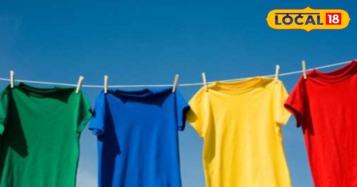 Tips: सर्दियों में नहीं मिलती धूप, गीले कपड़ों से आती है बदबू? ट्राई करें ये टिप्स, महकेंगे कपड़े, होंगे हाइजीनिक, फ्रेश!