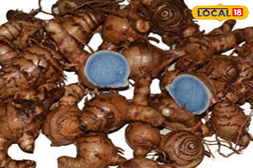 काली हल्दी काली हल्दी