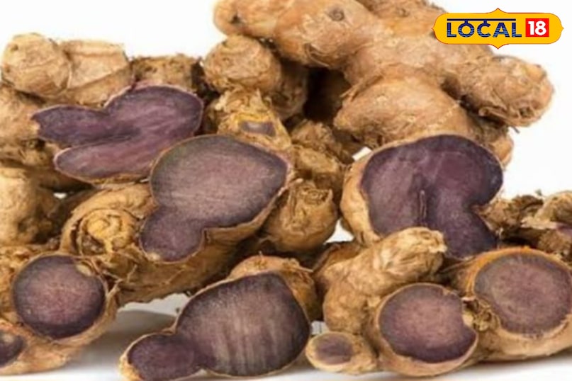 काली हल्दी काली हल्दी