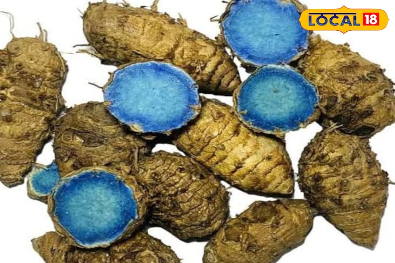 काली हल्दी काली हल्दी