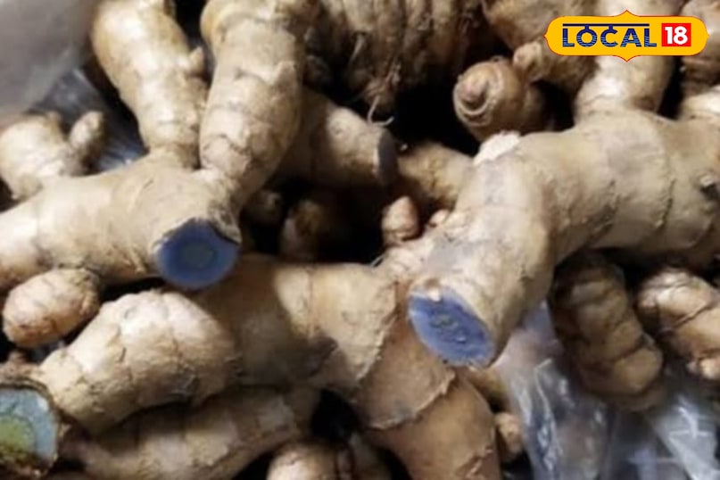 काली हल्दी काली हल्दी