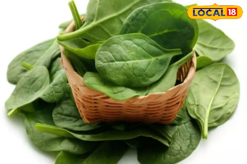 पालक पालक