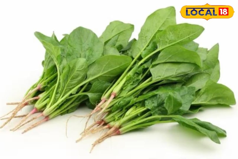 पालक पालक