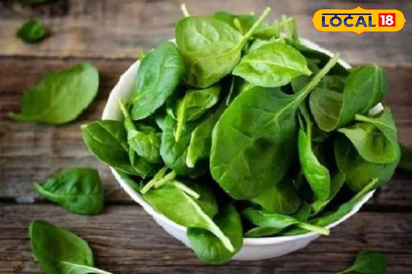 पालक पालक