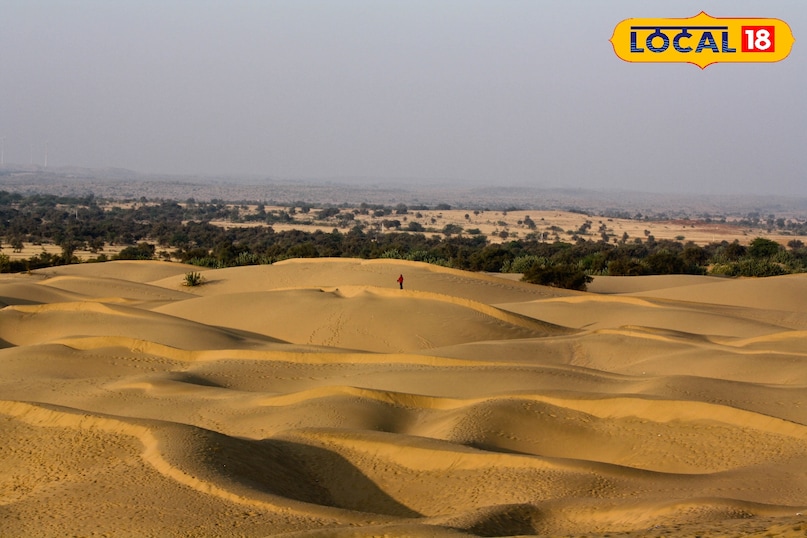 यह अपनी विशालता और सुंदरता के लिए अनोखी पहचान रखते है यह अपनी विशालता और सुंदरता के लिए अनोखी पहचान रखते है