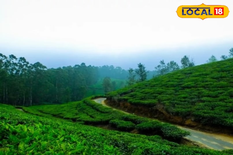 Mp femous tourist place, कुकरू टूरिस्ट प्लेस, कुकरु हिल स्टेशन, मध्य प्रदेश का स्विट्जरलैंड, ठंड में घूमने की जगह mp, local18, betul letest news, Madhya Pradesh hindi news Mp femous tourist place, कुकरू टूरिस्ट प्लेस, कुकरु हिल स्टेशन, मध्य प्रदेश का स्विट्जरलैंड, ठंड में घूमने की जगह mp, local18, betul letest news, Madhya Pradesh hindi news