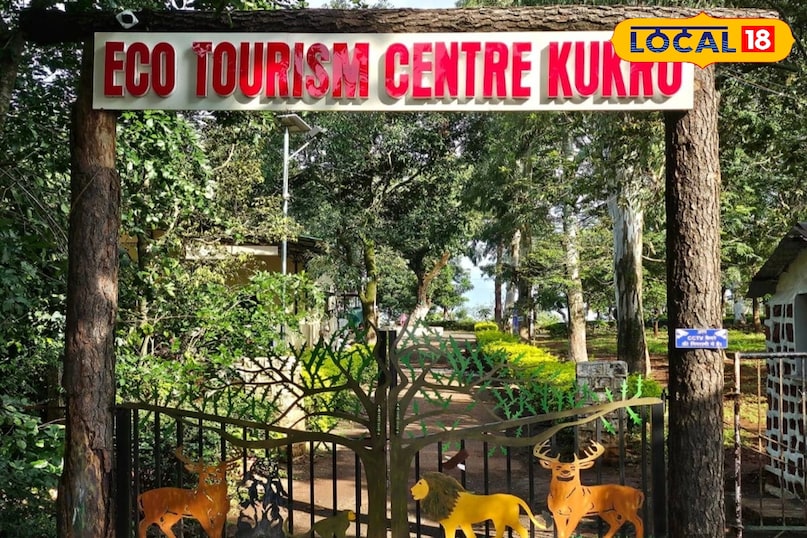 Mp femous tourist place, कुकरू टूरिस्ट प्लेस, कुकरु हिल स्टेशन, मध्य प्रदेश का स्विट्जरलैंड, ठंड में घूमने की जगह mp, local18, betul letest news, Madhya Pradesh hindi news Mp femous tourist place, कुकरू टूरिस्ट प्लेस, कुकरु हिल स्टेशन, मध्य प्रदेश का स्विट्जरलैंड, ठंड में घूमने की जगह mp, local18, betul letest news, Madhya Pradesh hindi news