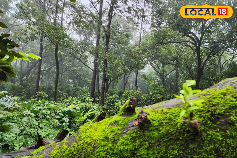कुकरू टूरिस्ट प्लेस, कुकरु हिल स्टेशन, मध्य प्रदेश का स्विट्जरलैंड, ठंड में घूमने की जगह mp, local18, betul letest news, Madhya Pradesh hindi news कुकरू टूरिस्ट प्लेस, कुकरु हिल स्टेशन, मध्य प्रदेश का स्विट्जरलैंड, ठंड में घूमने की जगह mp, local18, betul letest news, Madhya Pradesh hindi news