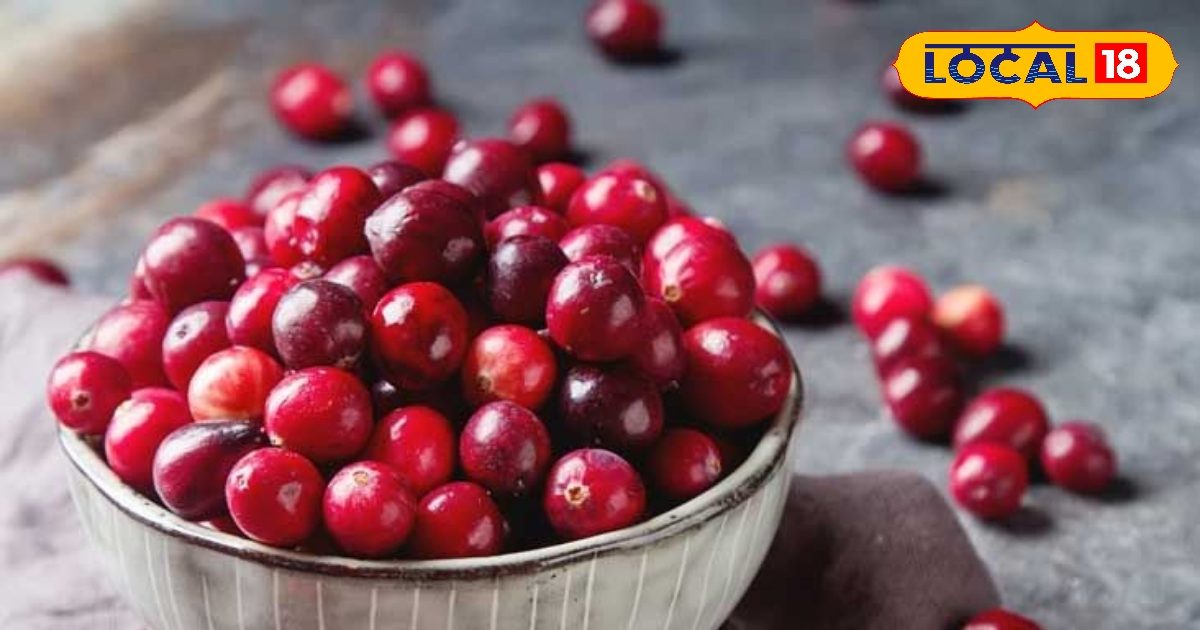 न्यूट्रिएंट्स का पॉवर हाउस है ये लाल फल, हार्ट अटैक के खतरे को कर देता है खत्म, फायदे जान कर देंगे हैरान न्यूट्रिएंट्स का पॉवर हाउस है ये लाल फल, हार्ट अटैक के खतरे को कर देता है खत्म, फायदे जान कर देंगे हैरान