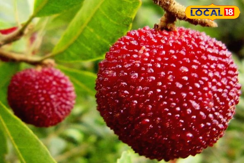 When you find kafal When you find kafal