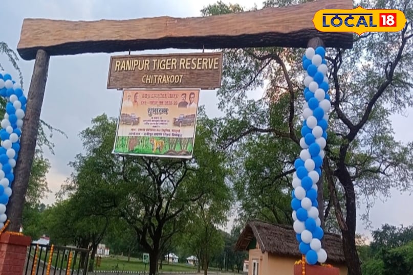 यह तस्वीर चित्रकूट के मारकुंडी के पास स्थित रानीपुर टाइगर रिजर्व की है. यहां पहुंच कर आप सफारी को सवारी करके जंगल घूम सकते है.इसके साथ ही जंगल में मौजूद बाघ, तेंदुआ, हिरण भालू जैसे अन्य जीव जंतु अपनी आंखों से देख सकते है.बता दे कि अब इस स्थान में पर्यटकों के रुकने के लिए कॉटेज भी बना दिए है.जिसका शुल्क देकर लोग यहां रात्रि भी रुक सकते है. यह तस्वीर चित्रकूट के मारकुंडी के पास स्थित रानीपुर टाइगर रिजर्व की है. यहां पहुंच कर आप सफारी को सवारी करके जंगल घूम सकते है.इसके साथ ही जंगल में मौजूद बाघ, तेंदुआ, हिरण भालू जैसे अन्य जीव जंतु अपनी आंखों से देख सकते है.बता दे कि अब इस स्थान में पर्यटकों के रुकने के लिए कॉटेज भी बना दिए है.जिसका शुल्क देकर लोग यहां रात्रि भी रुक सकते है.