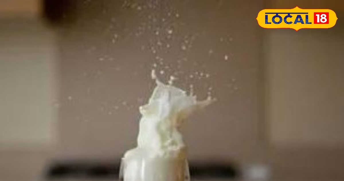 Health Tips: दूध को अमृत बनाना है तो जानिए इसे पीने का सही वक्त और तरीका! एक्सपर्ट से जानें Health Tips: दूध को अमृत बनाना है तो जानिए इसे पीने का सही वक्त और तरीका! एक्सपर्ट से जानें