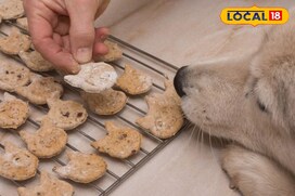 इंसान से भी महंगी आती है  की बिस्किट? सच्चाई जान आप भी पकड़ लेंगे सिर 