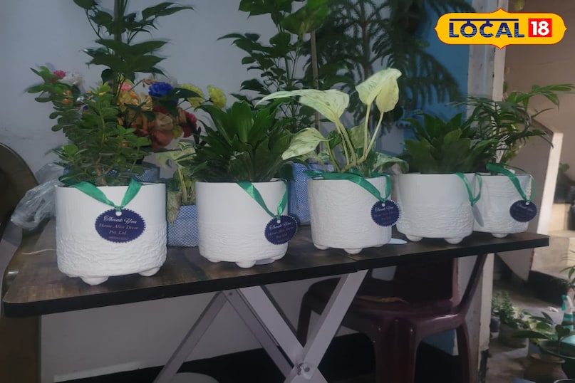 Ara News, ara Hindi News, ara Latest News, bhojpur Today News, bhojpur District halchal, News of ara, Bihar News, Bihar Hindi News, Hindi News, Bihar Today News, Bihar Latest News, local 18 news Ara KO, Ara Hindi News, Bhojpur Latest News, Ara Today News, Bhojpur District Halchal, News Bhojpur, Bihar News, Bihar Hindi News, Hindi News, Bihar Today News, Bihar Latest, Local 18 News