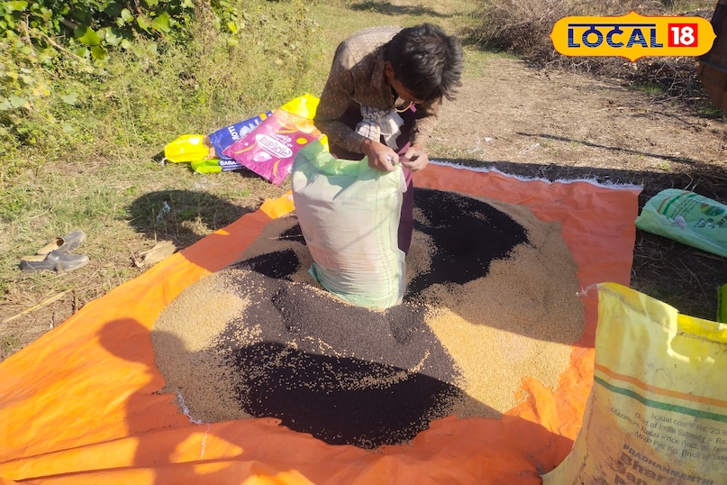 आसमान साफ हो गया