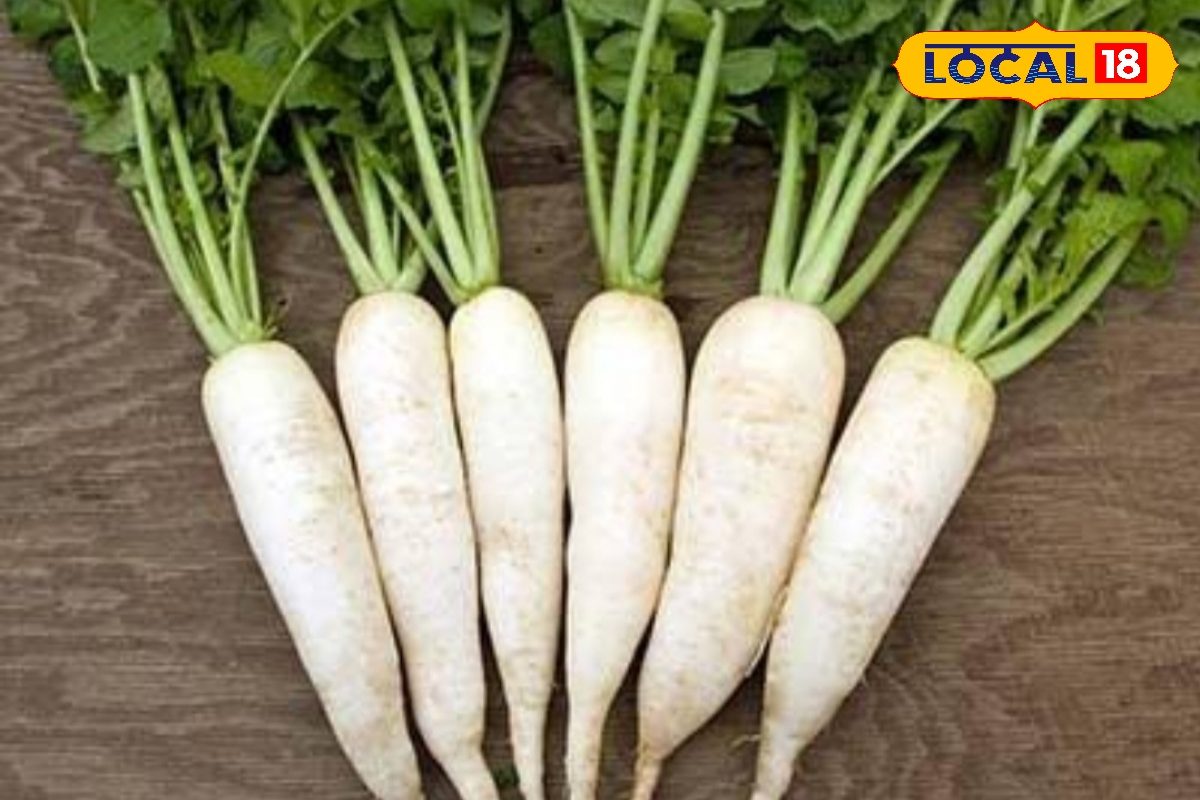 मूली की खेती के समय इन बातों का रखें ध्यान,वरना घट जाएगा उत्पादन