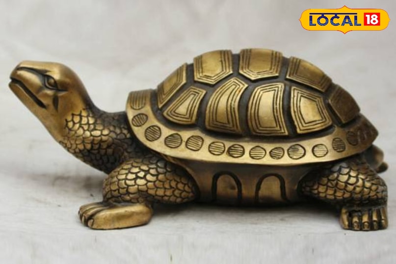 Lucky items for news 2026 Lucky items for news 2026