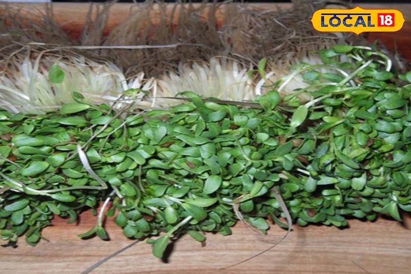 हेल्थ टिप्स हेल्थ टिप्स