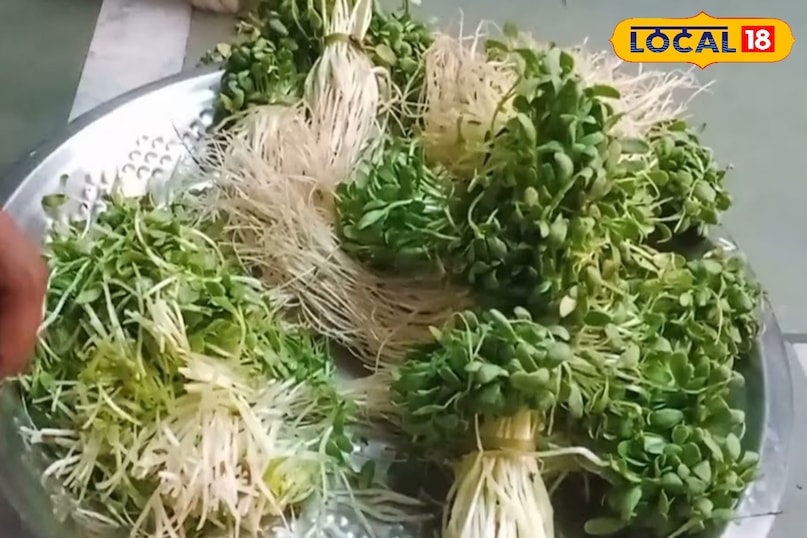 हेल्थ टिप्स हेल्थ टिप्स