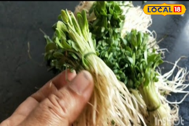 हेल्थ टिप्स हेल्थ टिप्स