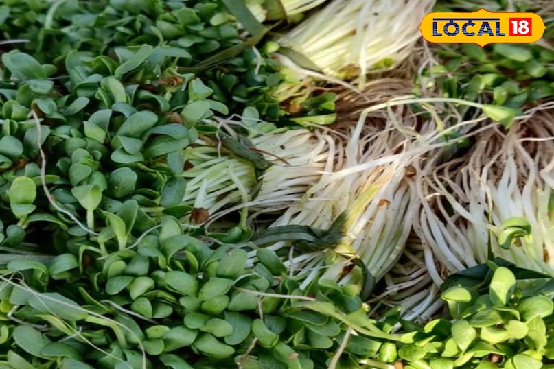 हेल्थ टिप्स हेल्थ टिप्स