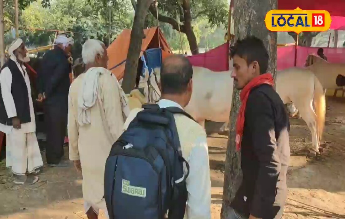कुंभ की ‘वायरल गर्ल’ जैसी आंखें! सोनपुर मेले में छाई ये अनोखी घोड़ी