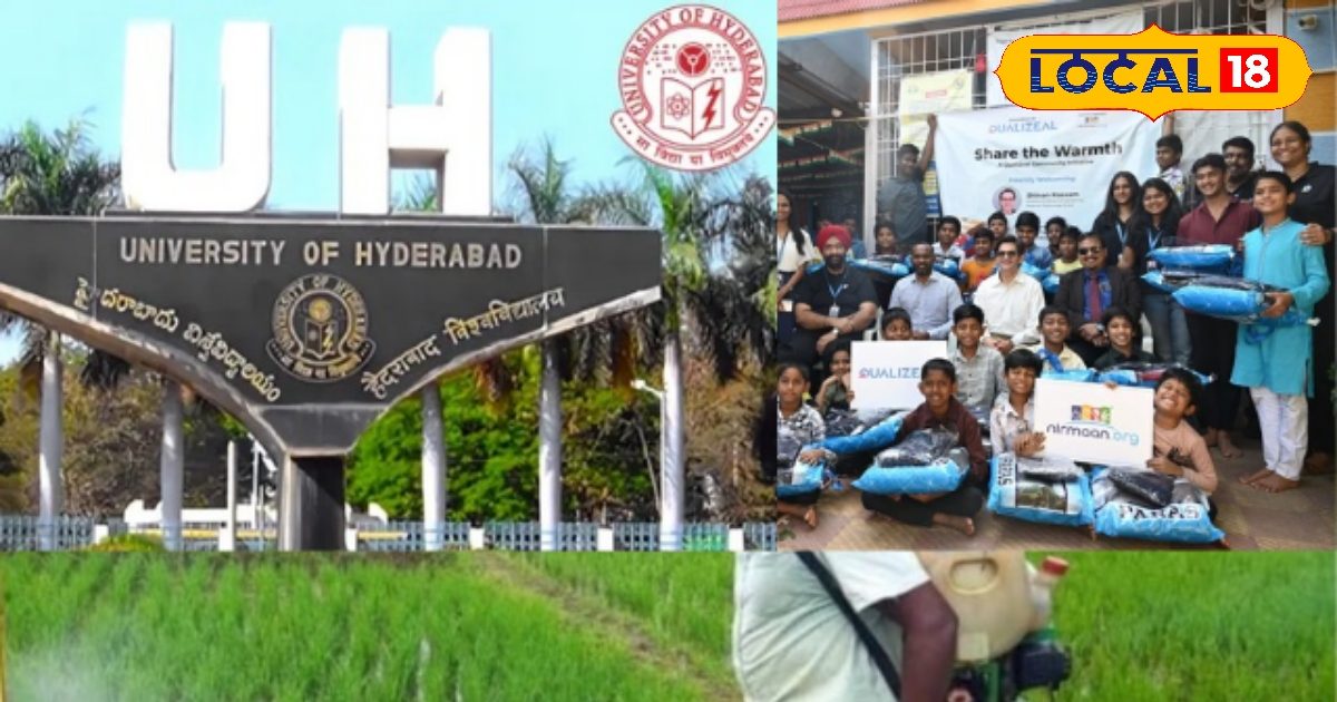 हैदराबाद यूनिवर्सिटी ने रोज़मेरी खेती के लिए नई नैनो तकनीक बनाई