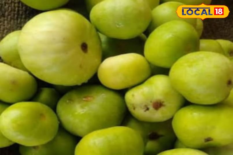 Moradabad news,hindi news,up news,local news, मुरादाबाद समाचार, हिंदी समाचार, यूपी समाचार, मुख्य समाचार Moradabad news,hindi news,up news,local news, मुरादाबाद समाचार, हिंदी समाचार, यूपी समाचार, मुख्य समाचार