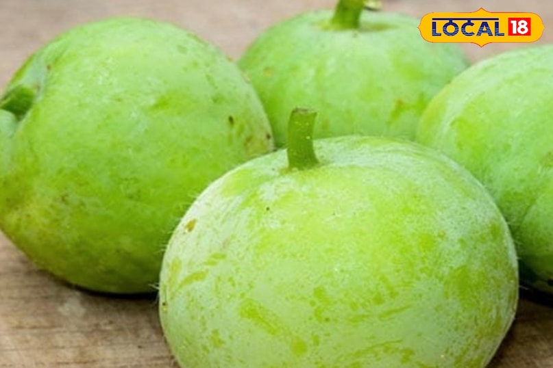 Moradabad news,hindi news,up news,local news, मुरादाबाद समाचार, हिंदी समाचार, यूपी समाचार, मुख्य समाचार Moradabad news,hindi news,up news,local news, मुरादाबाद समाचार, हिंदी समाचार, यूपी समाचार, मुख्य समाचार