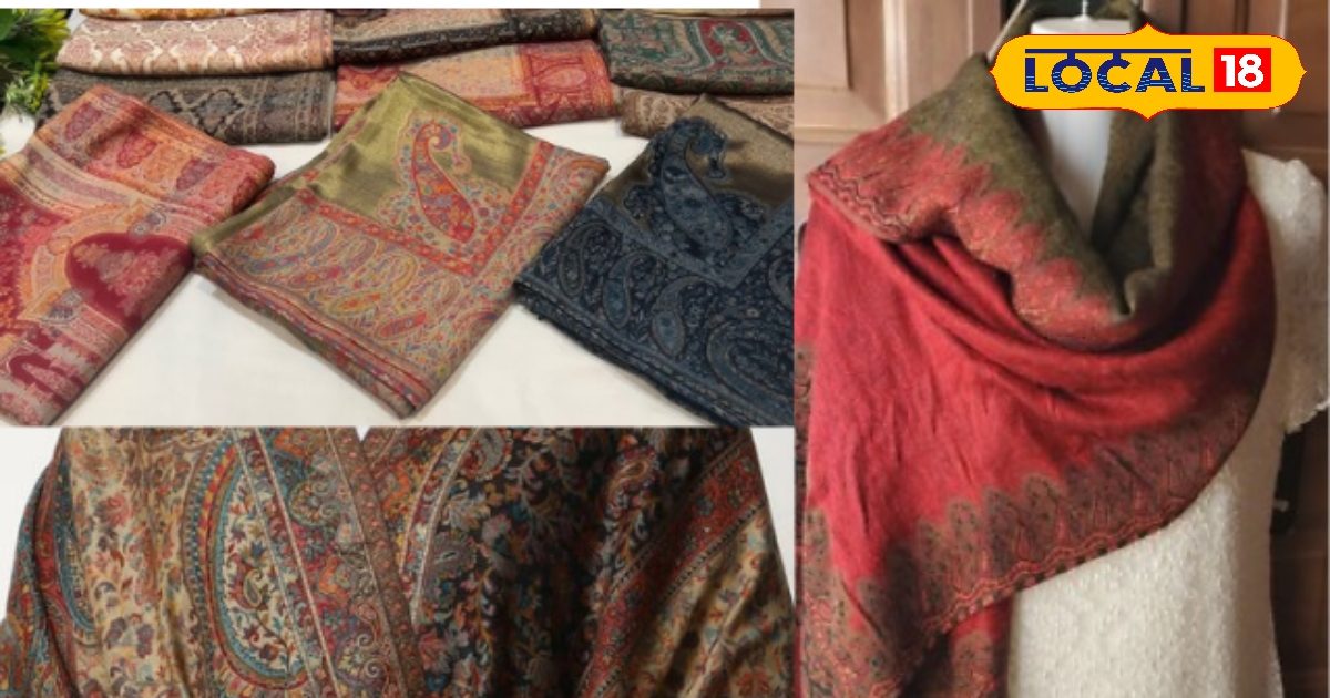 Tips and Tricks: सर्दियों में स्टाइलिश बनना है? तो ये शॉल टिप्स जरूर आजमाएं