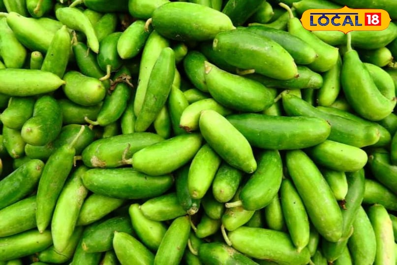 कुंदरू कुंदरू