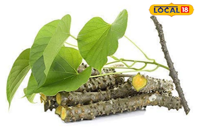 सर्दियों में बीमारी रखेगा दूर यह काढ़ा 