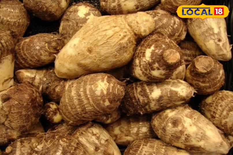 the identity of pahadi arbi 