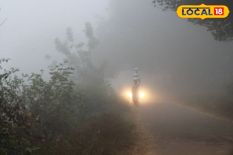 एक सर्दियों का स्वर्ग लांबासिंगी आंध्र प्रदेश के अनामलय पहाड़ियों में स्थित एक छोटा सा गाँव है जो समुद्र तल से लगभग 1,000 मीटर यानी 3,300 फीट की ऊँचाई पर बसा हुआ है। यह अपने आप में एक आश्चर्य है क्योंकि यह ऊँचाई आमतौर पर भारी बर्फबारी के लिए पर्याप्त नहीं मानी जाती। रहस्य यहाँ के अनोखे माइक्रोक्लाइमेट में छिपा है।