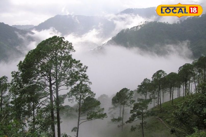 लांबासिंगी के आकर्षण बर्फबारी का दुर्लभ नज़ारा यही इसका सबसे बड़ा आकर्षण है। सर्दियों की सुबह, पेड़ों, जमीन और छतों पर जमी सफेद बर्फ की परत एक जादुई दृश्य पैदा करती है। हैदराबाद जैसे व्यस्त शहरों के निवासियों के लिए यहाँ की शांति और शुद्ध हवा एक वरदान है। ट्रेकिंग और एडवेंचर के लिए आसपास के पहाड़ी रास्ते ट्रेकिंग और प्रकृति भ्रमण के शौकीनों के लिए आदर्श हैं।
